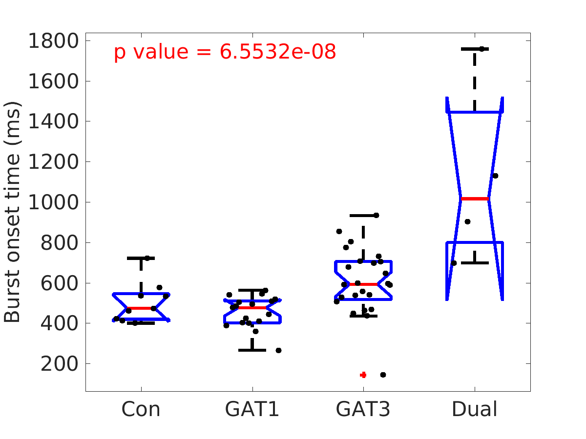 image_burst_onset_time_100g_boxplot_100-400all.png