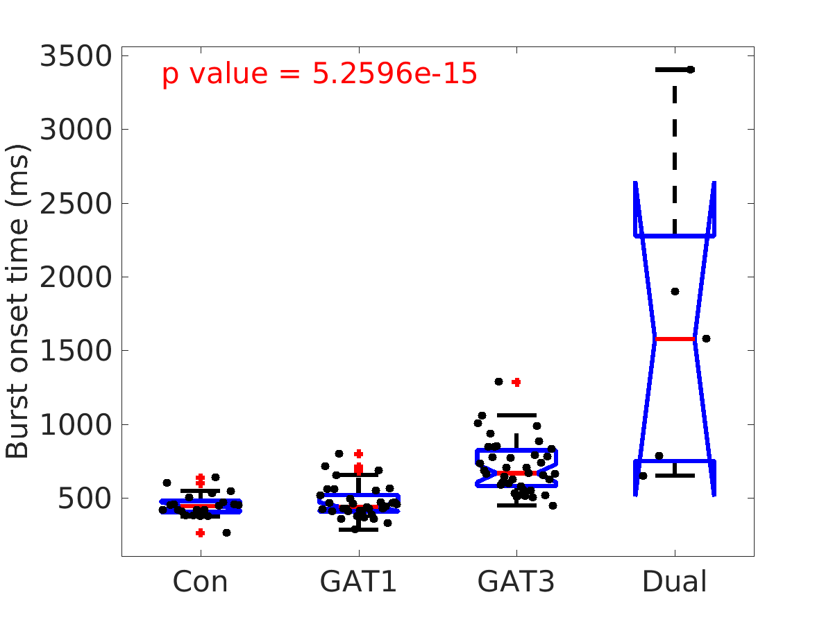 image_burst_onset_time_200g_boxplot_100-400all.png