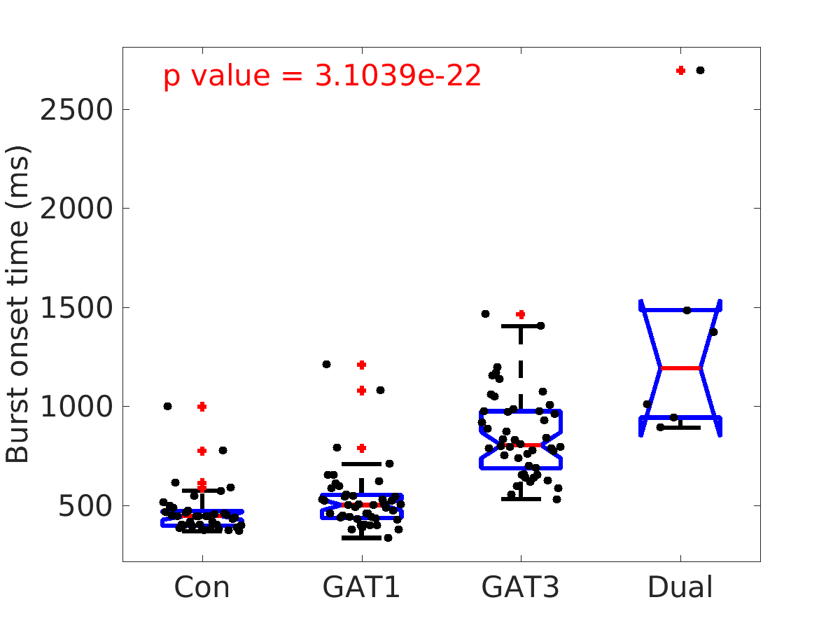 image_burst_onset_time_400g_boxplot_100-400all.png