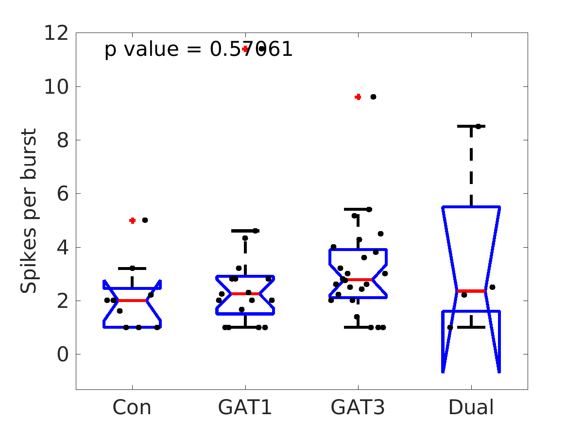 image_spikes_per_burst_100g_boxplot_100-400all.png