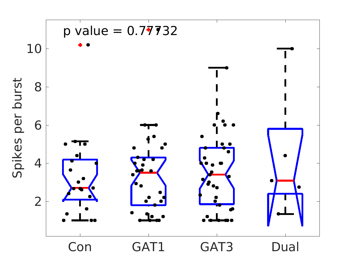 image_spikes_per_burst_200g_boxplot_100-400all.png