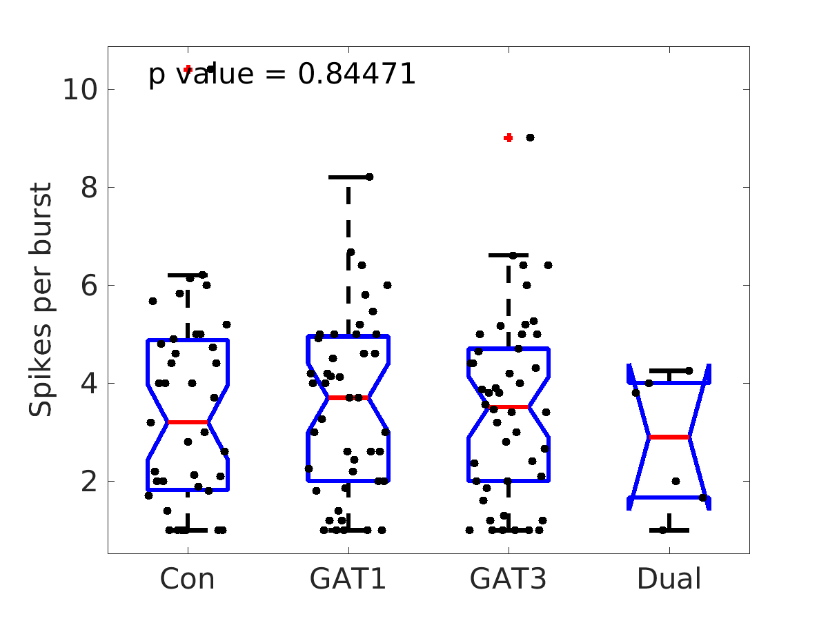 image_spikes_per_burst_400g_boxplot_100-400all.png