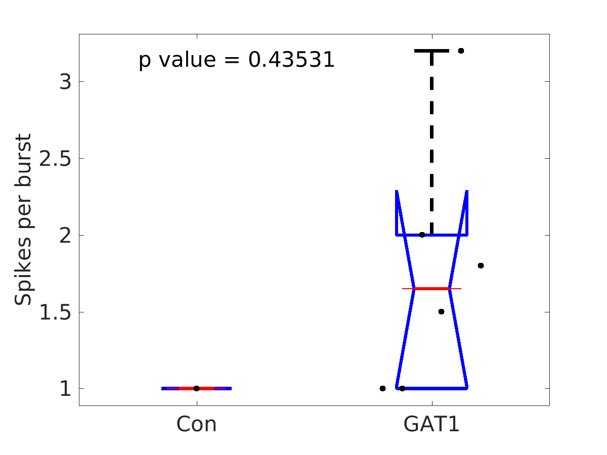 image_spikes_per_burst_50g_boxplot_all.png