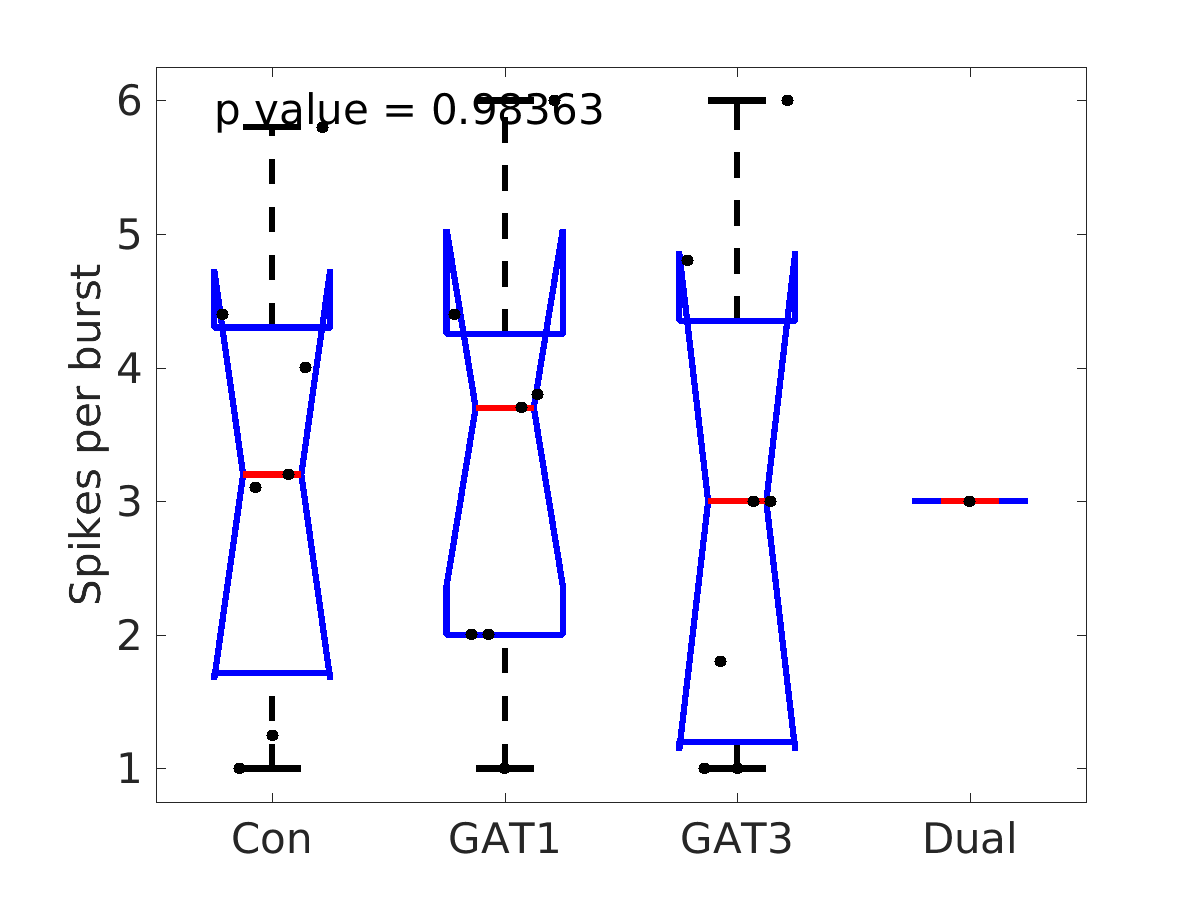 image_spikes_per_burst_800g_boxplot_all.png