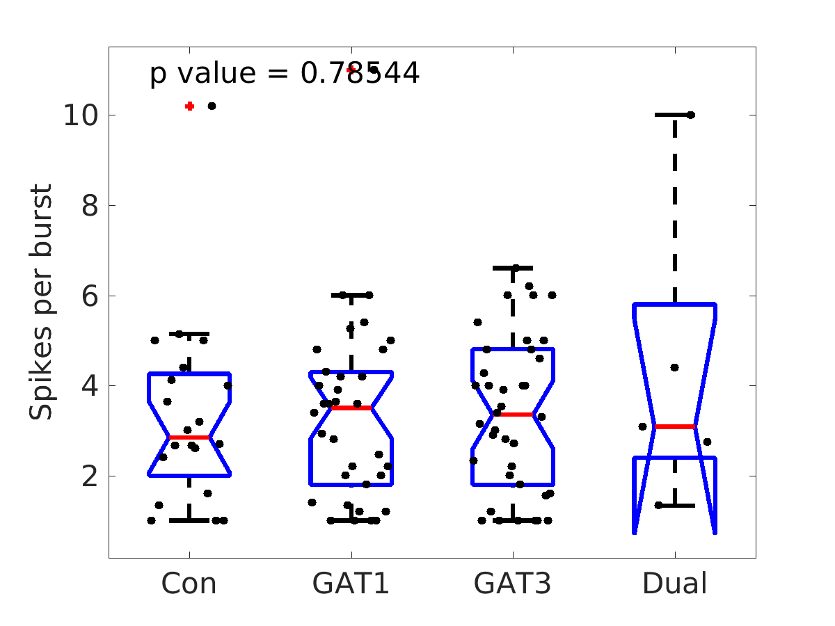 image_spikes_per_burst_200g_boxplot_tofit.png