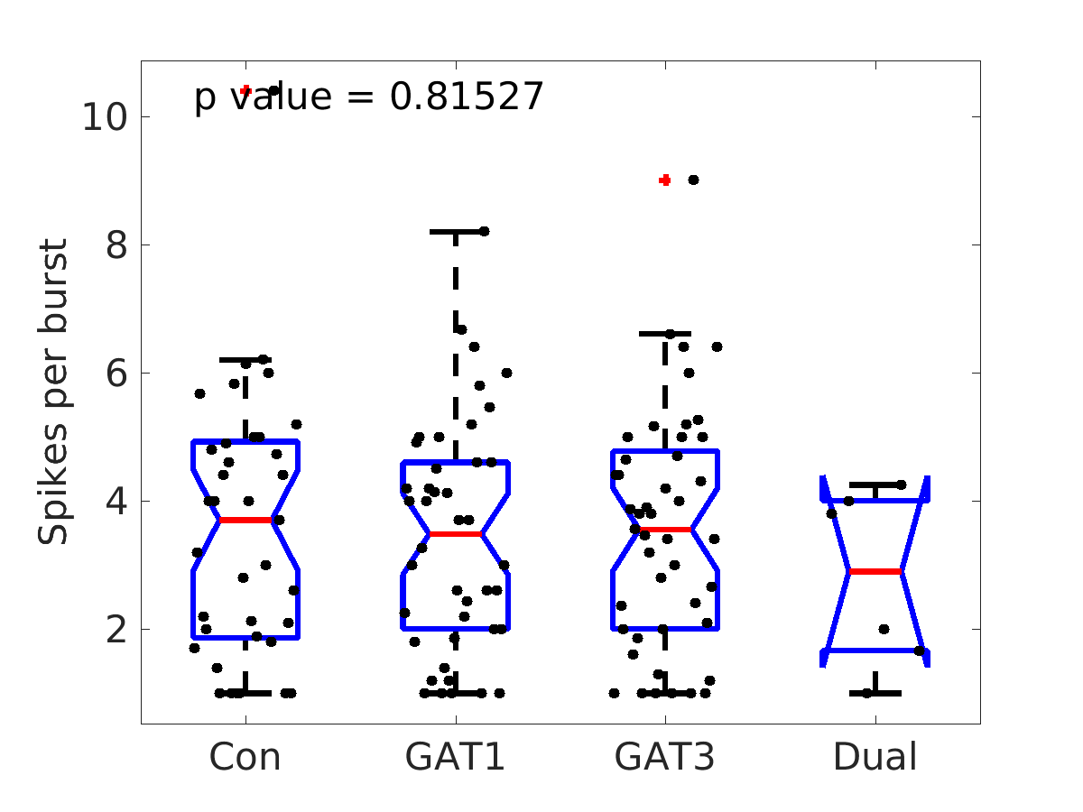 image_spikes_per_burst_400g_boxplot_tofit.png